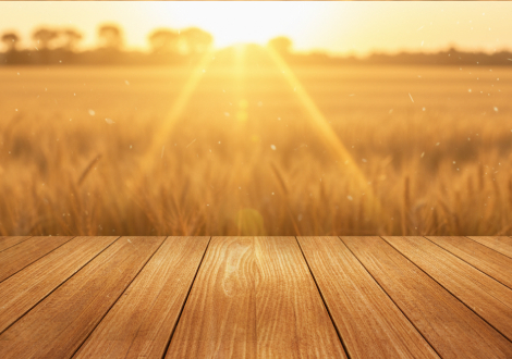 Spices and Seasonings